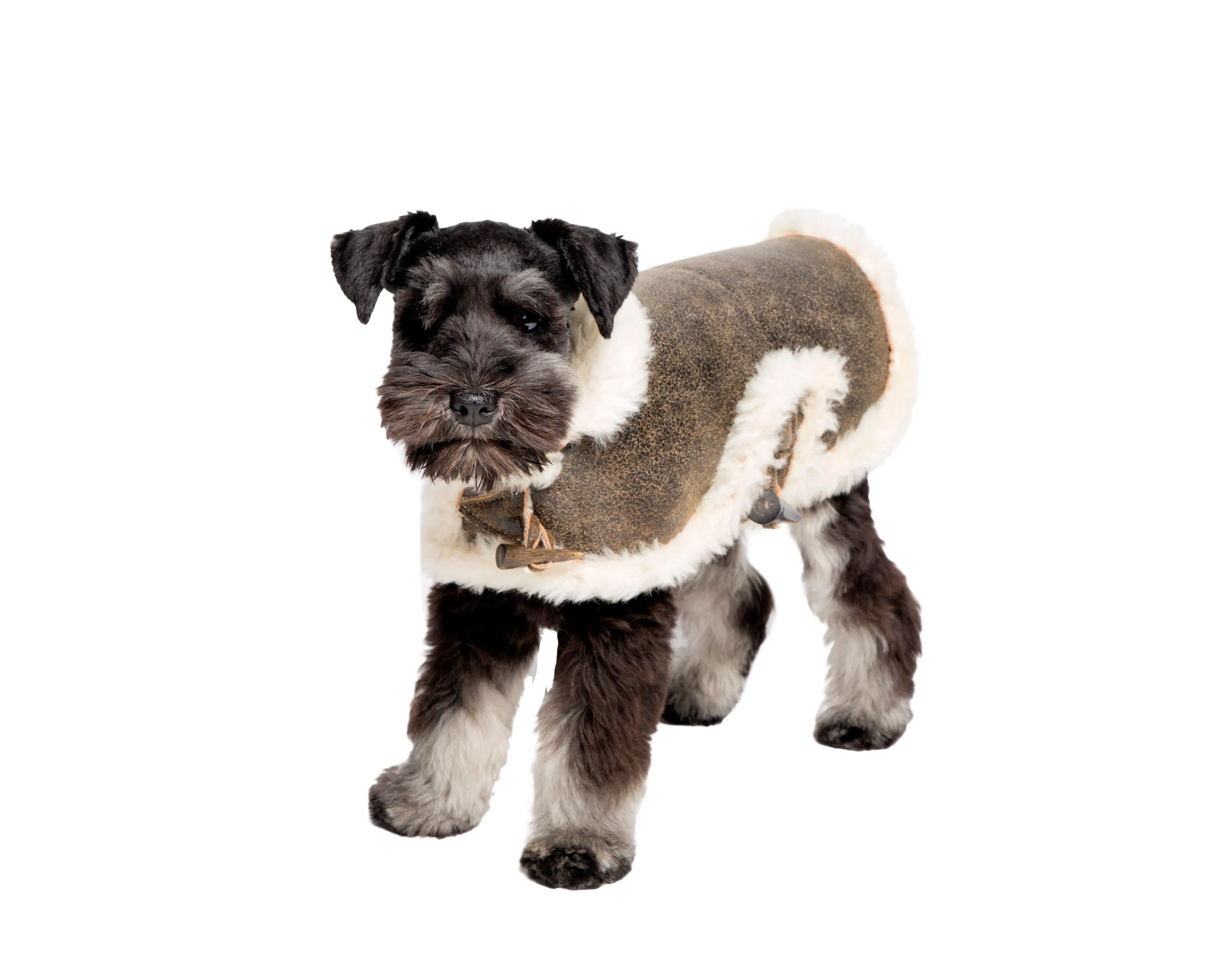 Genuine Brown Shearling Dog Coat