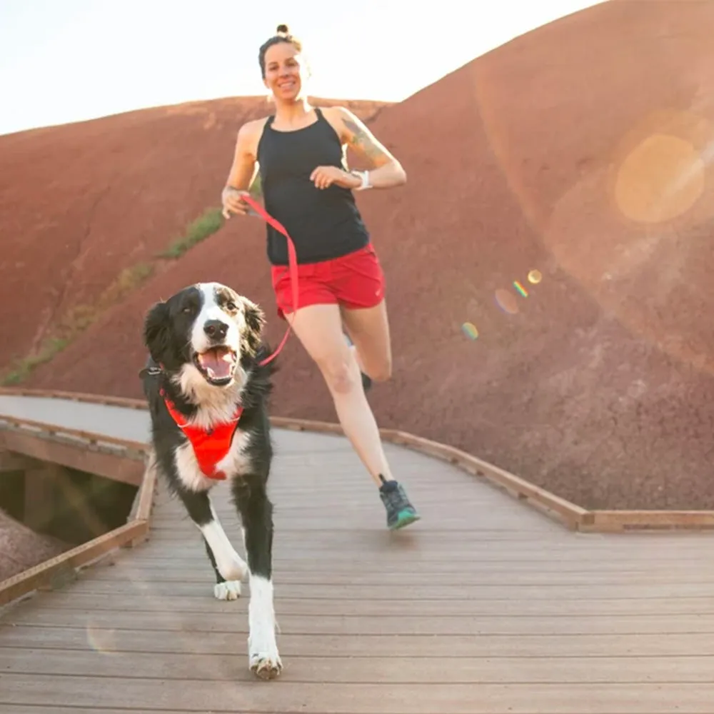 Ruffwear Front Range Leash for Dogs in Red